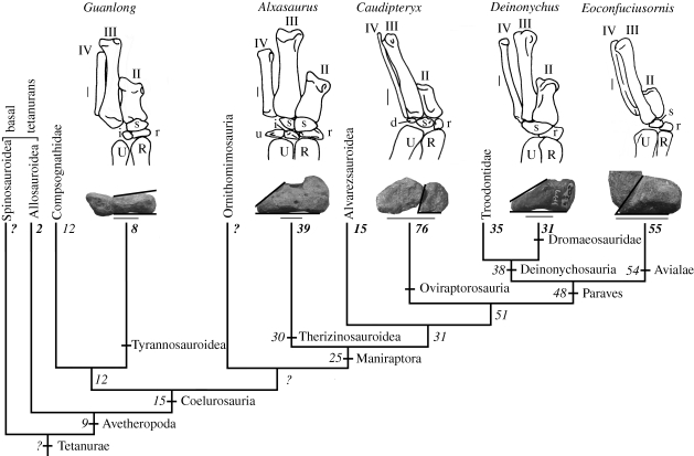 Figure 2.