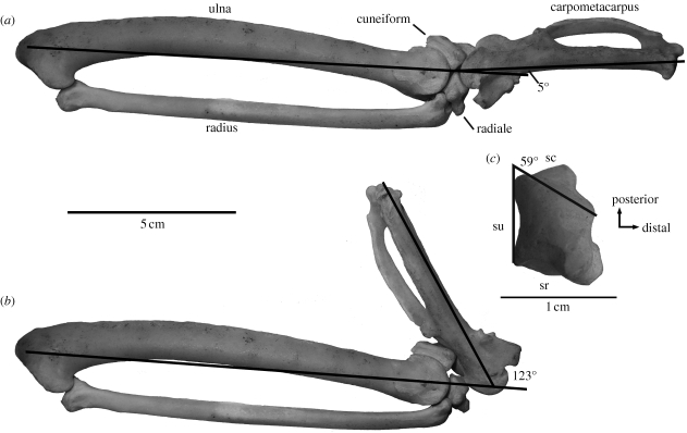 Figure 1.