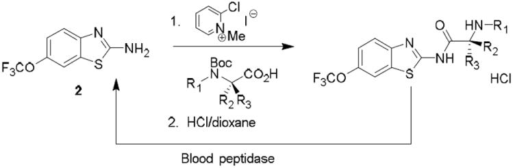 Scheme 2