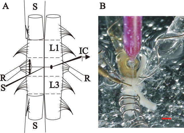 Figure 1.