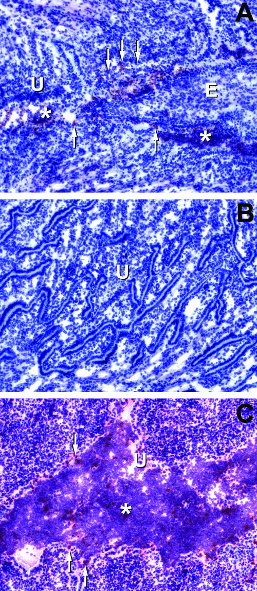 FIG. 6.