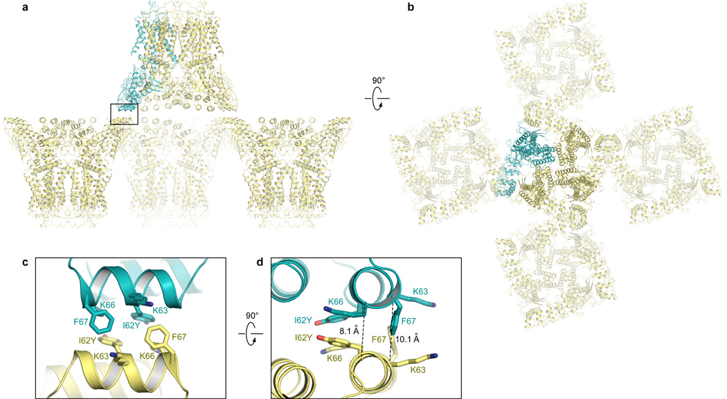 Extended Data Figure 9