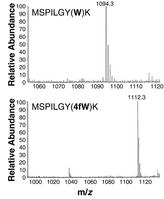 FIG. 5