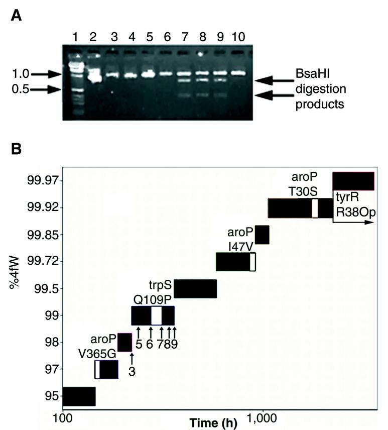 FIG. 7