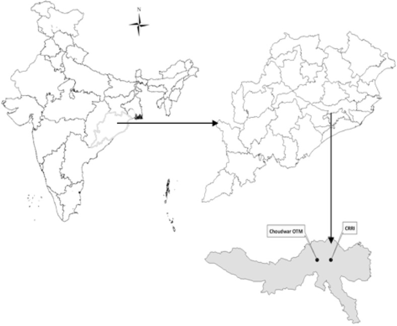 Fig. 1