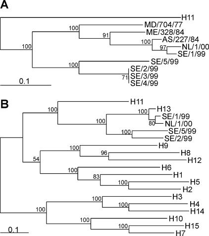 FIG. 1.