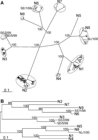 FIG. 5.