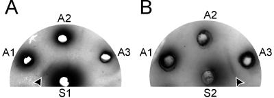 FIG. 3.