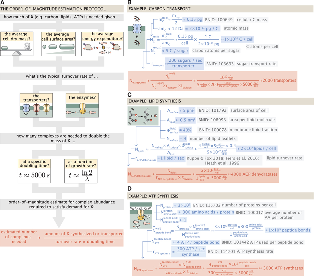 Figure 2.