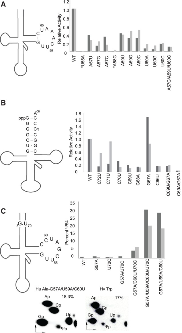 FIGURE 5.