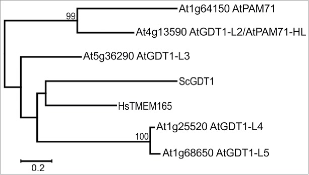 Figure 2.