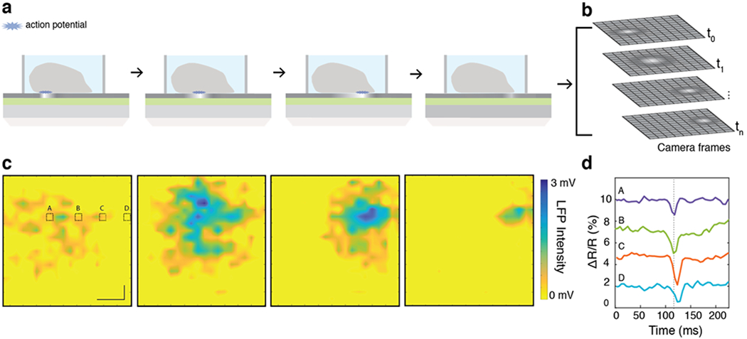 Figure 4.