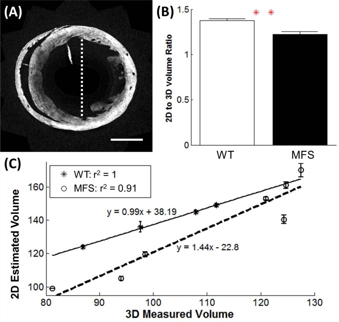 Fig 8