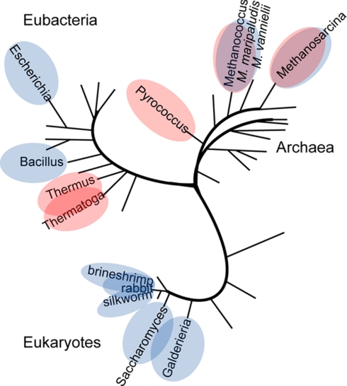 Fig. 8.