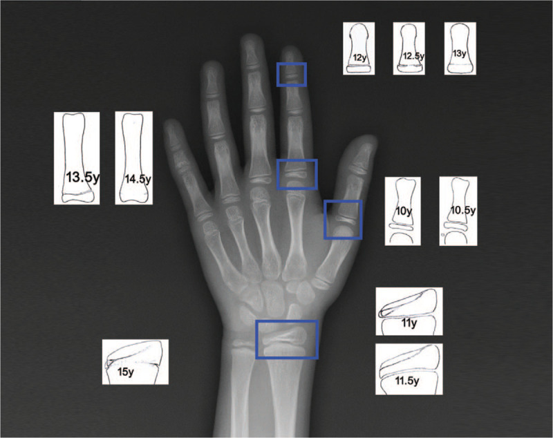 Figure 5