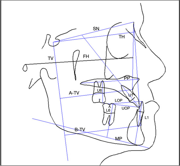 Fig. 4