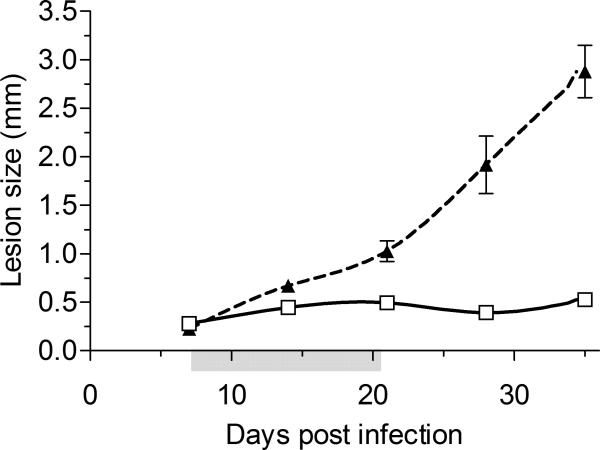 Figure 5a