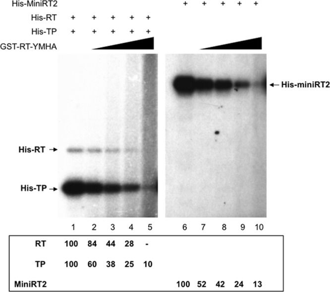 Fig 6