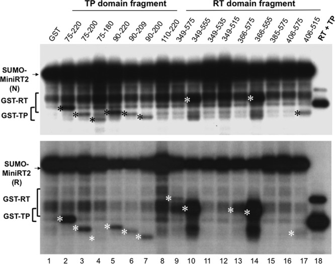 Fig 8