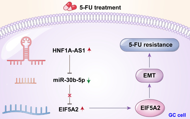 Fig 7