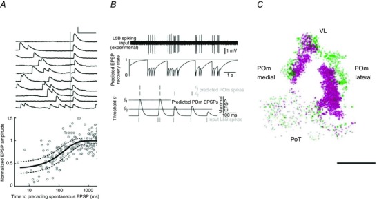 Figure 21