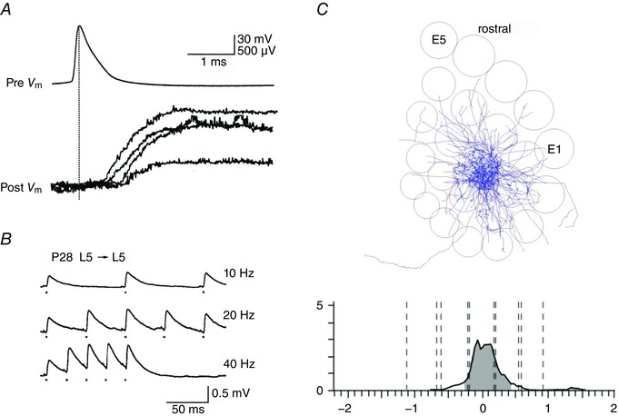 Figure 20