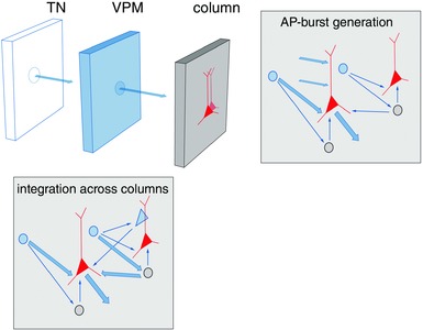 Figure 19