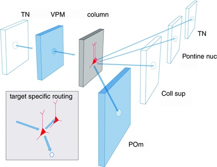 Figure 22