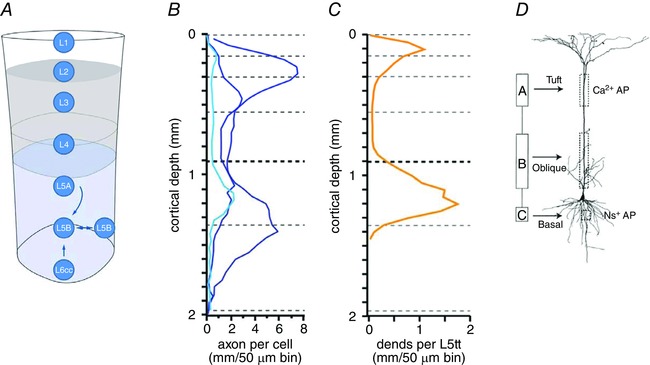 Figure 18