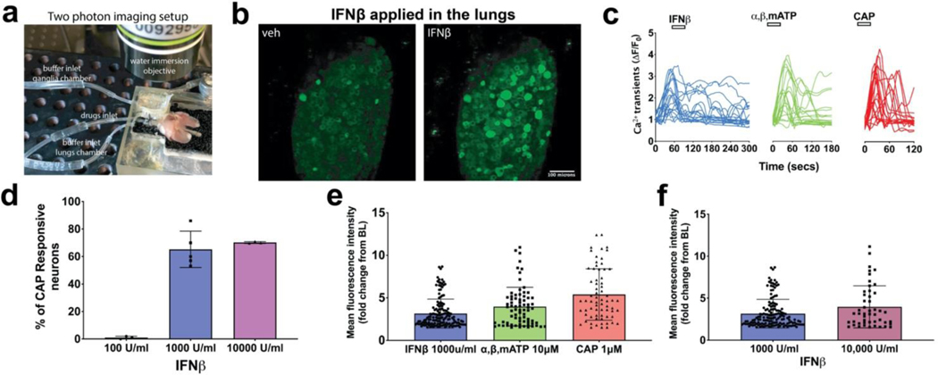 FIG 3: