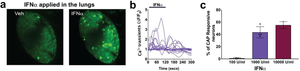 FIG 4.