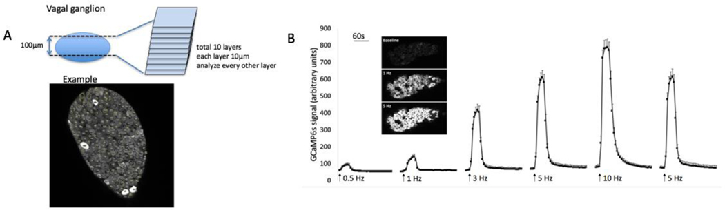 FIG 2.