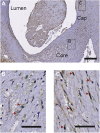 Figure 6