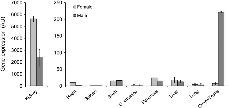 Fig. 2