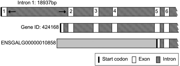 Fig. 1