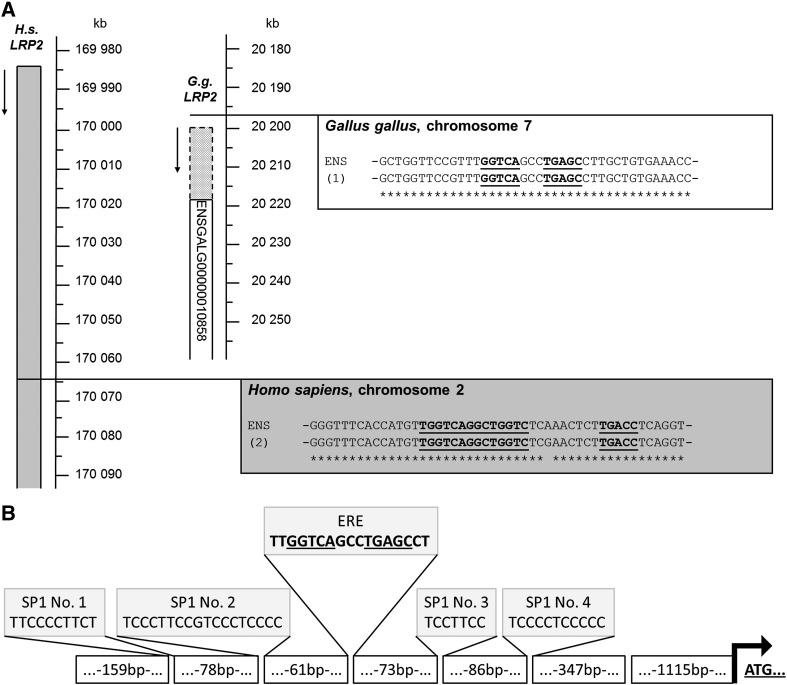 Fig. 6