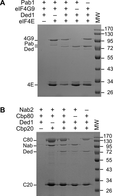 Figure 4.