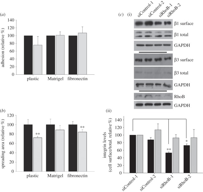 Figure 2.