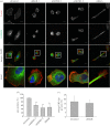 Figure 5.