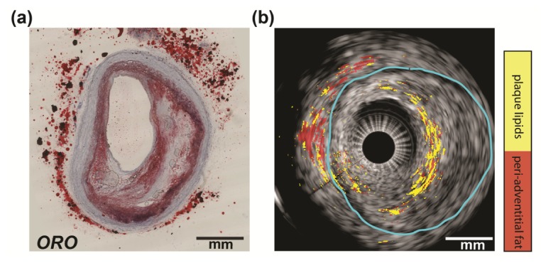 Fig. 6