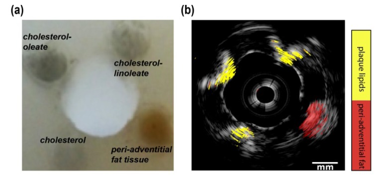 Fig. 5