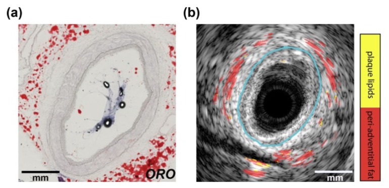 Fig. 7