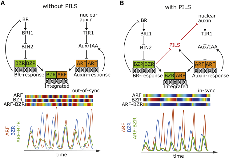 Figure 6