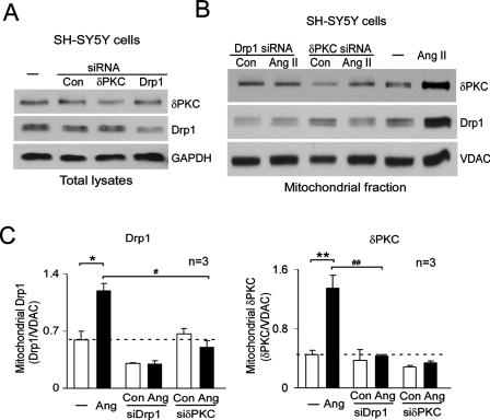 FIGURE 6: