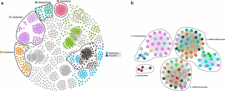 Fig. 10