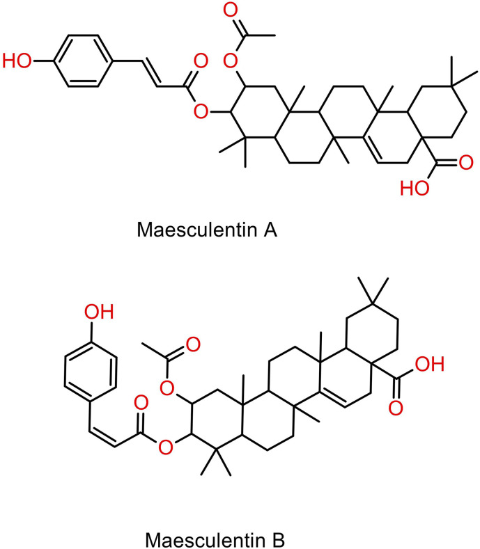 Figure 5.