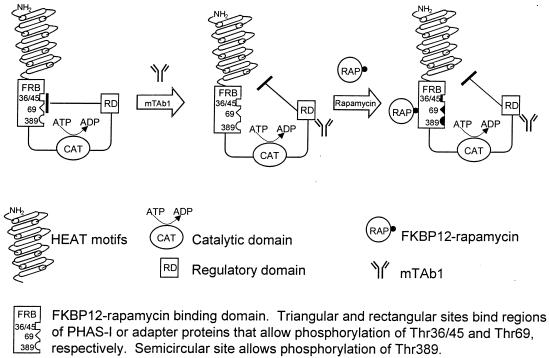 FIG. 7.