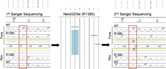 Figure 6.