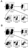 FIG. 3