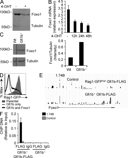 Figure 10.